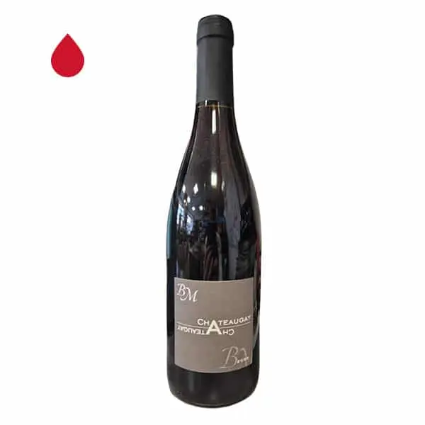 Châteaugay – Domaine Benoit Montel 2022