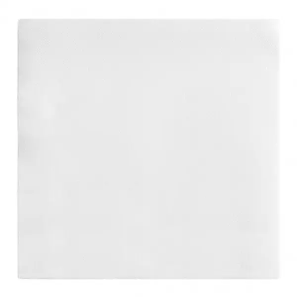 50 Serviettes non-tissé 40×40 cm Blanc